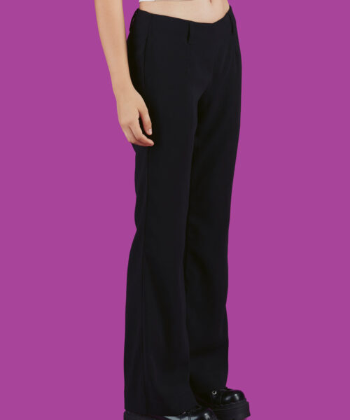 Alternative view of Traffic Pant