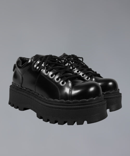 Alternative view of Seek Shoe