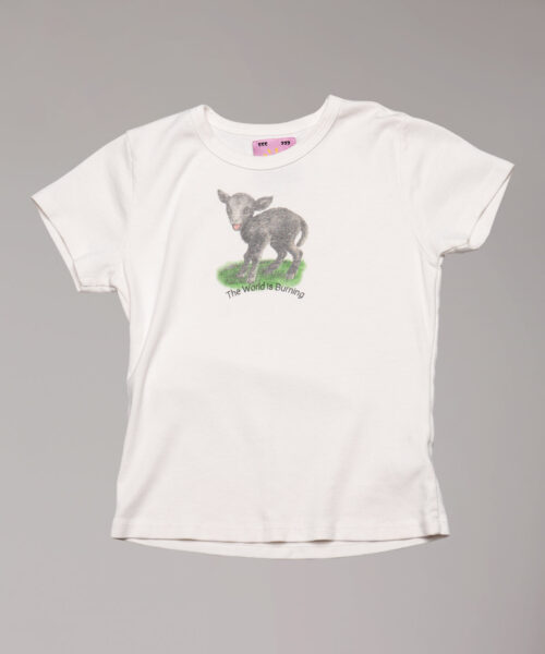 Burning World Baby Tee